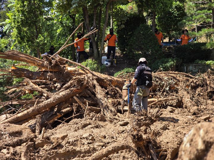 [창원=뉴시스] 강경국 기자 = 집중호우로 인명 피해가 속출한 경남 산청군에서 경찰이 22일 수색견과 드론을 동원해 실종자 수색 작업을 하고 있다. (사진=경남경찰청 제공). 2025.07.22. photo@newsis.com *재판매 및 DB 금지