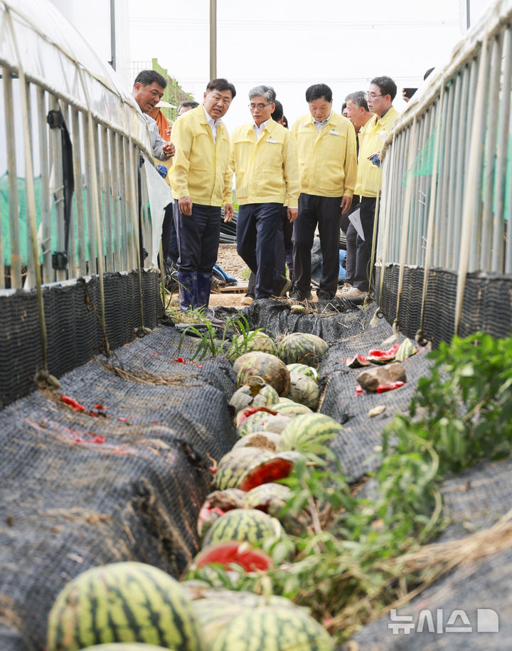 [고창=뉴시스] 22일 김관영 전북특별자치도지사는 지난 7월 16일부터 19일까지 내린 집중호우로 인해 침수 피해가 발생한 고창군 대산면 수박비닐하우스 농가를 찾아 위로하고 응급 복구 현황과 대민 지원 상황을 점검하고 있다. 2025.07.22 (사진= 전북자치도 제공) *재판매 및 DB 금지