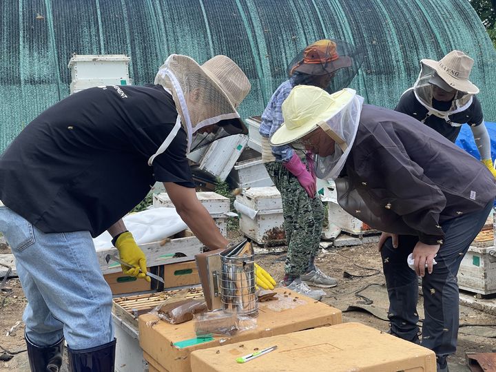 [세종=뉴시스] 농촌진흥청은 최근 집중호우로 피해를 입은 충남 서산 지역 양봉 농가를 찾아 수해 복구 지원과 벌무리(봉군) 관리 등 현장 기술지원을 실시했다고 22일 밝혔다. (사진=농진청 제공) 2025.07.22. photo@newsis.com *재판매 및 DB 금지