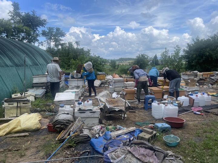 [세종=뉴시스] 농촌진흥청은 최근 집중호우로 피해를 입은 충남 서산 지역 양봉 농가를 찾아 수해 복구 지원과 벌무리(봉군) 관리 등 현장 기술지원을 실시했다고 22일 밝혔다. (사진=농진청 제공) 2025.07.22. photo@newsis.com *재판매 및 DB 금지