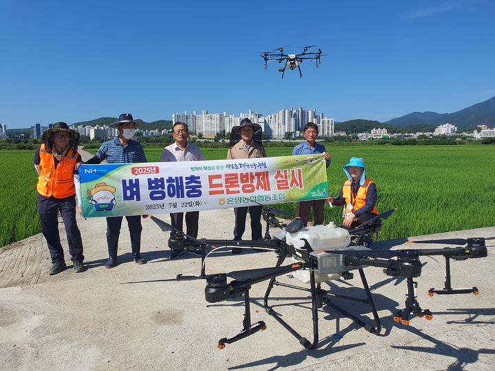 [울산=뉴시스] 울산 온양농협(조합장 전병철)은 7월 22일부터 9월초까지 온양읍 관내 벼 재배농가를 대상으로 병충 방제를 위한 드론방제를 실시한다. (사진= 온양농협 제공) 2025.07.22.photo@newsis.com *재판매 및 DB 금지