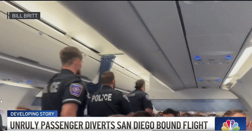 [뉴시스] 난동을 부려 여객기를 긴급 회항시킨 승객이 공항경찰에 의해 연행된 모습. (영상=NBC샌디에이고) 2025.7.22 *재판매 및 DB 금지