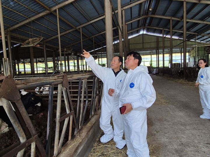 [세종=뉴시스] 농촌진흥청은 강민구 국립축산과학원 축산생명환경부장이 지난 21일 경남 하동군 '해뜰목장'을 찾아 젖소 사양관리와 폭염 대응 실천 현황을 점검하고, 여름철 기상재해에 대한 현장 의견을 청취했다고 22일 밝혔다. (사진=농진청 제공) 2025.07.22. photo@newsis.com *재판매 및 DB 금지