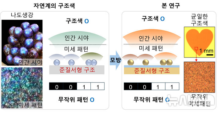 광주과학기술원(지스트·GIST)과 KAIST 공동연구팀이 개발한 복제 불가능 광학지문 보안기술 개념도. (그래픽=지스트 제공) photo@newsis.com