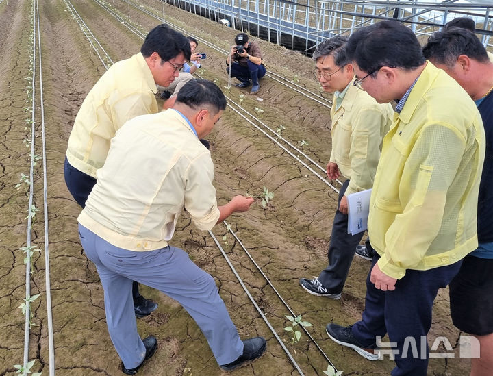 22일 나주시 산포면 시설하우스 단지에서 권재한 농촌진흥청장과 관계 전문가들이 침수 농작물에 대한 수세 회복 기술 컨설팅을 실시하고 있다. (사진=나주시 제공) photo@newsis.com