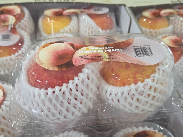  [영주=뉴시스] 영주 복숭아 (사진=영주시 제공) 2025.07.23. photo@newsis.com *재판매 및 DB 금지