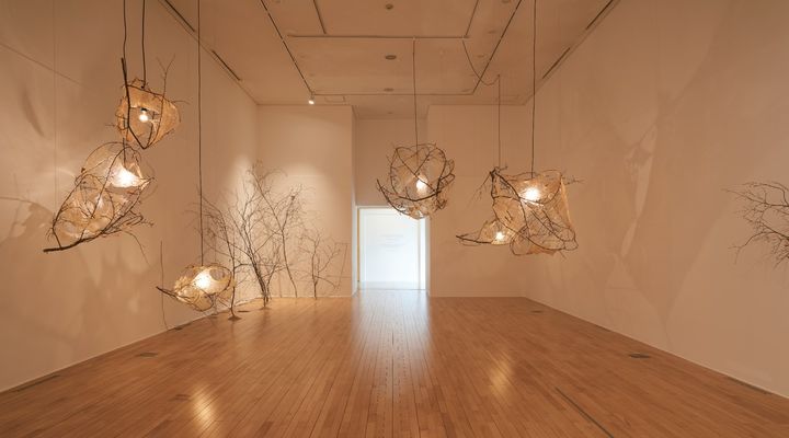 2전시실_설계된 자연 강현아 전시 전경 *재판매 및 DB 금지