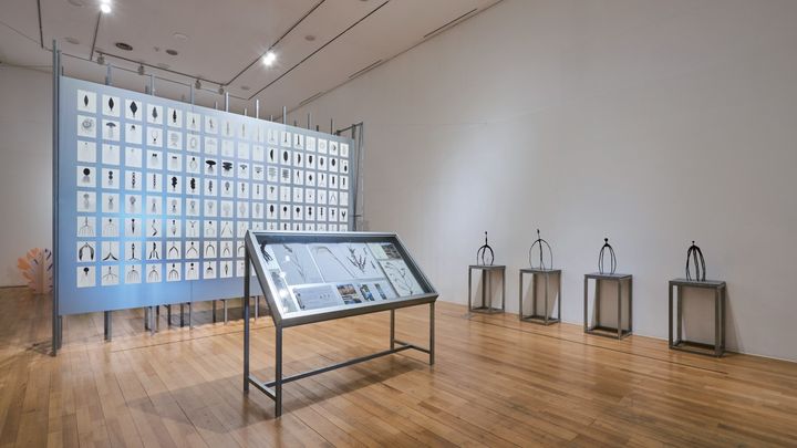 3전시실_진화하는 식물 홍이카 전시 전경. *재판매 및 DB 금지