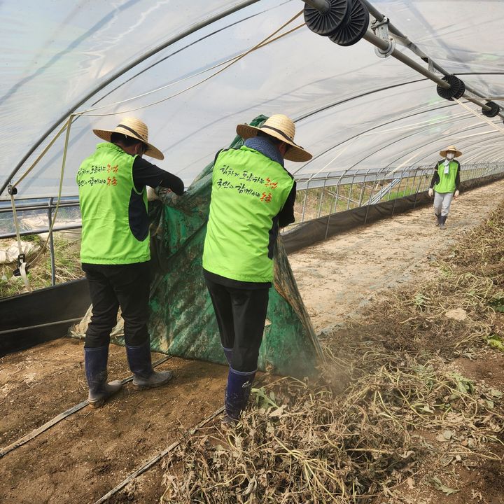 [세종=뉴시스] 사진은 농림축산식품부 직원 40여명은 23일 충남 부여군 규암면의 수박 재배 농가를 찾아, 침수 피해를 입은 농업시설물과 작물 잔해를 수거하고 정리하는 작업을 벌이고 있는 모습. (사진=농식품부 제공) 2025.07.23. photo@newsis.com *재판매 및 DB 금지