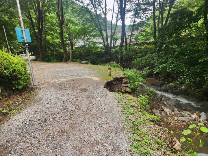 [서울=뉴시스] 천안 광덕사 호두나무 근처 진입로 (사진=국가우산청 제공) 2025.07.23 photo@newsis.com *재판매 및 DB 금지