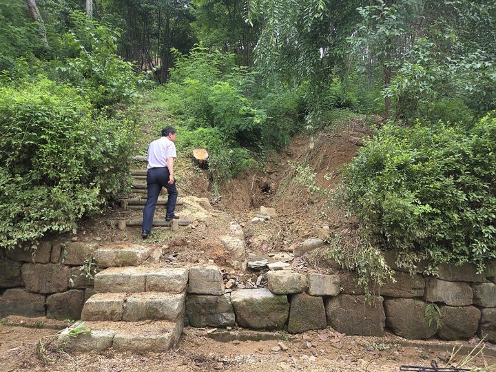 [서울=뉴시스] 고령 지산동 고분군 (사진=국가유산청 제공 2025.7.23 photo@newsi.com *재판매 및 DB 금지