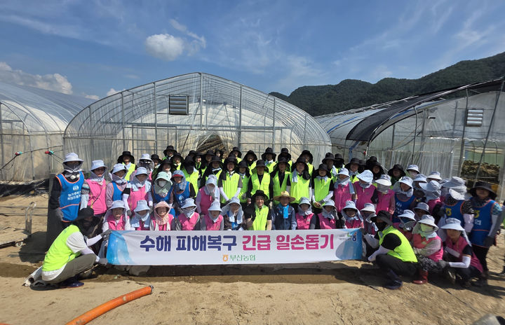 [부산=뉴시스] 부산농협은 23일 최근 집중호우로 큰 피해를 본 경남 합천군 일대 마을을 찾아 수해 복구를 위한 일손 돕기에 나섰다. (사진=부산농협 제공) 2025.07.23. photo@newsis.com *재판매 및 DB 금지