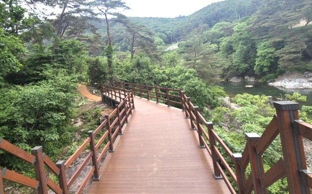 탁사정 데크 산책로 *재판매 및 DB 금지