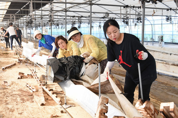 [광주=뉴시스] 광주 광산구의회 의원들과 사무국 직원들이 23일 집중호우로 피해를 입은 광산구 평동 한 농가를 찾아 수해 복구 작업을 돕고 있다. (사진 = 광산구의회 제공) 2025.07.23. photo@newsis.com *재판매 및 DB 금지