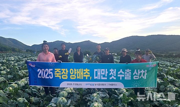 [포항=뉴시스] 경북 포항시 북구 죽장면의 특산물인 양배추 18t이 23일 올해 처음으로 대만 수출길에 올랐다. 사진은 수출에 앞서 양배추 수확에 나선 농업인과 포항시 관계자가 기념 촬영하는 모습. (사진=포항시 제공) 2025.07.23. photo@newsis.com