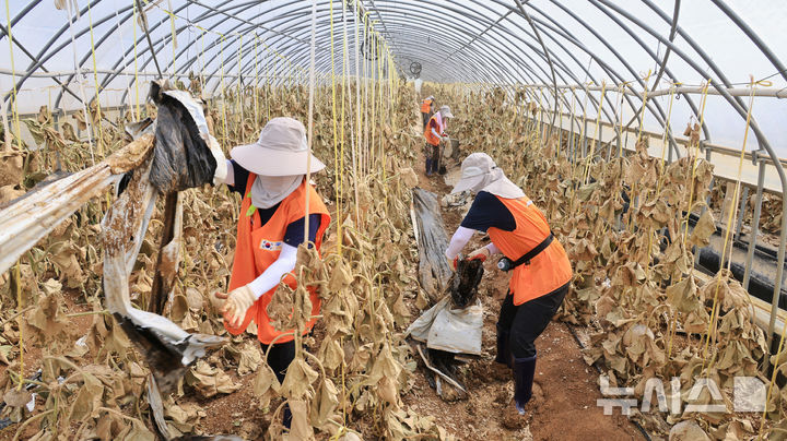 [과천=뉴시스] 수해 현장을 찾은 과천 시민들이 피해 복구에 힘을 보태고 있다. (사진=과천시 제공).2025.07.23. photo@newsis.com
