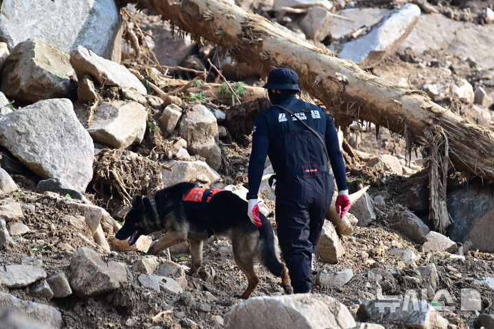 [산청=뉴시스] 차용현 기자 = 23일 오전 소방 대원이 수색견과 함께 경남 산청군 외송리 일원에서 실종자 수색작업을 하고 있다. 2025.07.23.con@newsis.com