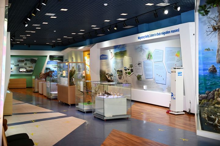 [신안=뉴시스]흑산도 신안철새박물관. (사진=신안군 제공) 2025.07.24. photo@newsis.com *재판매 및 DB 금지