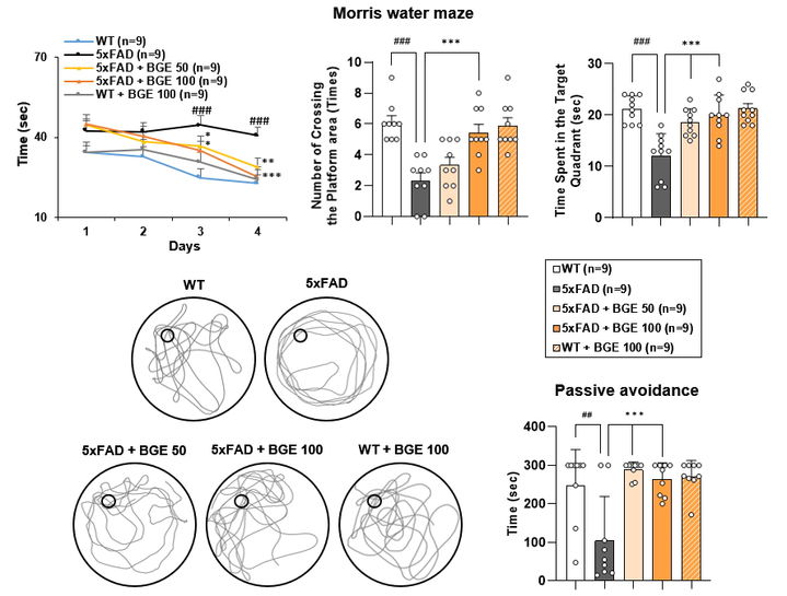사진은 연구팀이 수행한 모리스 수중 미로 실험(Morris Water Maze Test)와 수동 회피 실험(Passive Avoidance Test) 결과. (사진=경희대 제공) *재판매 및 DB 금지