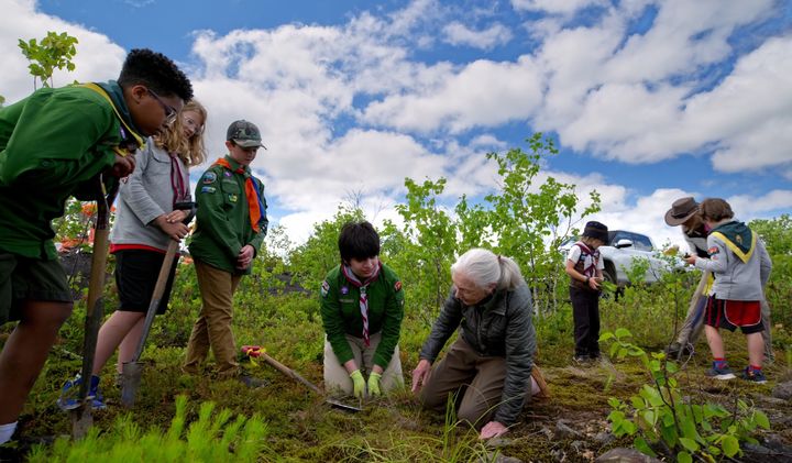 [부산=뉴시스] 제4회 하나뿐인 지구영상제 개막작 스틸사진. (사진=자연의권리찾기 제공) 2025.07.24. photo@newsis.com *재판매 및 DB 금지