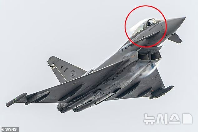 [뉴시스] 스페인 에어쇼에서 전투기와 갈매기가 충돌해 조종석 유리가 박살 나는 사고가 일어났다.(사진=데일리메일)