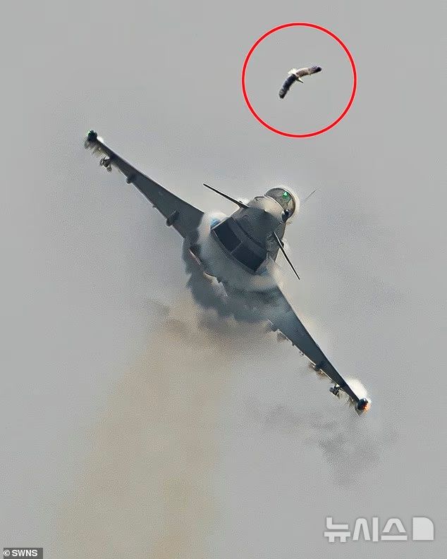 [뉴시스] 지난달 15일 스페인 산 하비에르 공군기지에서 열린 유로파이터 에어쇼 도중 전투기와 갈매기가 충돌해 조종석 유리가 박살났다.(사진=데일리메일)