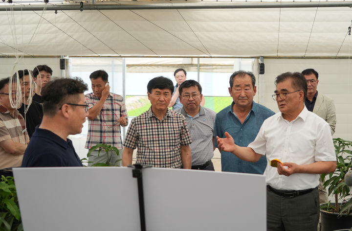 [서천=뉴시스] 조명휘 기자 = 김기웅(오른쪽) 서천군수가 '일선현답'의 일환으로 마산면 열대작물 재배단지를 찾아 망고 출하 상황을 점검하고 있다. (사진= 서천군 제공) 2025.07.24. photo@newsis.com *재판매 및 DB 금지