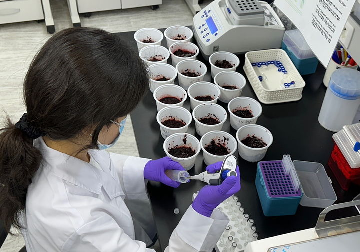 [고창=뉴시스] 고창군 농업기술센터 농산물안전성분석실 직원이 임의 수거된 복분자의 잔류농약 성분여부를 검사하고 있다. *재판매 및 DB 금지