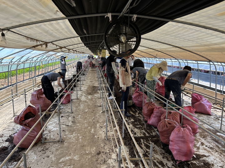 수해 자원봉사. (사진=광주시 제공) *재판매 및 DB 금지