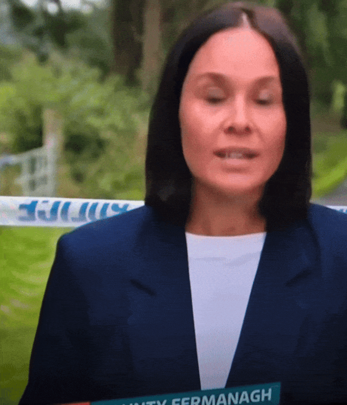 "저리 가!"…생방송 중 날아든 파리에 대참사(영상)&nbsp; 