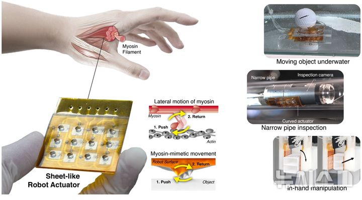 [포항=뉴시스] 포스텍(포항공과대학교) 기계공학과 김기훈·정완균 교수, 삼성전자 미래로봇추진단 신형곤 박사 연구팀이 종이처럼 얇고 사람 근육처럼 유연하면서도 강한 힘을 낼 수 있는 로봇 기술을 개발했다. 사진은 연구 이미지. (사진=포스텍 제공) 2025.07.24. photo@newsis.com