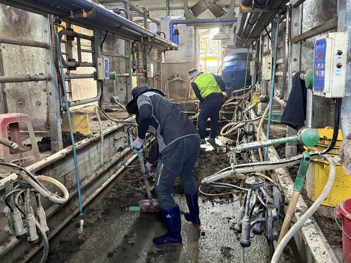 [세종=뉴시스] 농림축산식품부는 24일 수해 피해를 입은 충남 아산시 축산농가를 찾아 일손 돕기를 실시했다고 밝혔다. (사진=농식품부 제공) 2025.07.24. photo@newsis.com *재판매 및 DB 금지