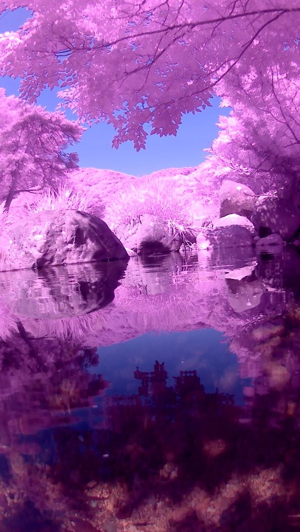 권혜원의 작품 '액체 비전' (사진=주오스트리아한국문화원 제공) *재판매 및 DB 금지