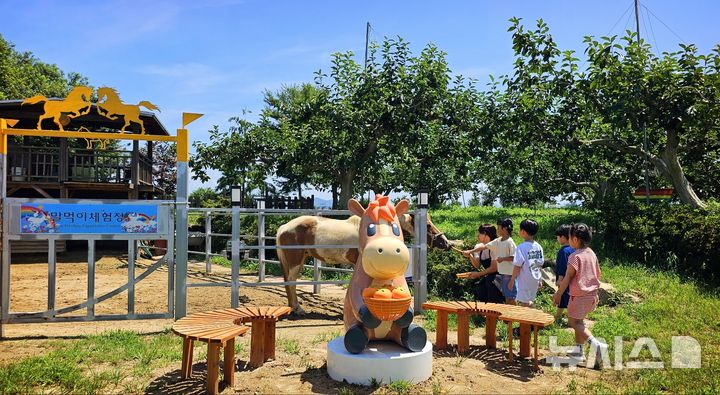 [서울=뉴시스] 사진은 한국마사회가 진행하는 농촌체험휴양마을 말테마 체험 사업. (사진=마사회 제공) 2025.07.24. photo@newsis.com