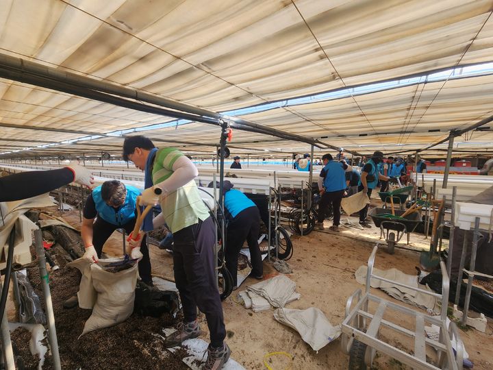 [남원=뉴시스] 24일 한국농어촌공사 전북지역본부 관계자들이 수해 피해를 입은 전북 남원시 송동면의 딸기농가를 찾아 수해 피해를 정리하고 있다. (사진=한국농어촌공사 전북지역본부 제공) 2025.07.24. photo@newsis.com *재판매 및 DB 금지