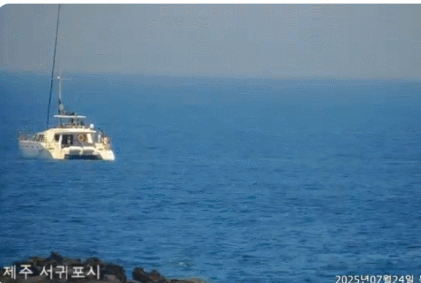 출처=국립수산과학원 고래연구소 공식 유튜브 채널. *재판매 및 DB 금지