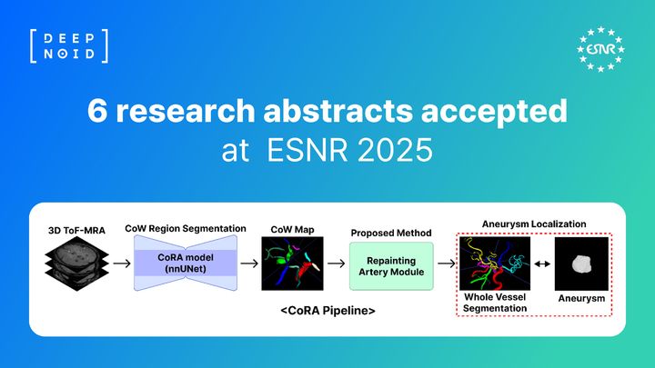 [서울=뉴시스] 의료 AI 전문기업 딥노이드는 뇌혈관 및 뇌실질 질환 AI 진단 기술 관련 연구 초록 6편이 'ESNR 2025(European Society of Neuroradiology 2025)'에서 채택됐다고 25일 밝혔다. (사진=딥노이드 제공) 2025.07.25. photo@newsis.com *재판매 및 DB 금지