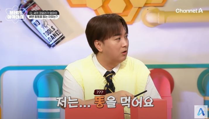 [서울=뉴시스] 지난 24일 방송한 채널A 예능 프로그램 '브레인 아카데미'에서 출연진 전현무·하석진·이상엽·황제성·윤소희·궤도가 코알라에 대한 문제를 풀었다.. (사진=채널A '브레인 아카데미' 캡처) 2025.07.25. photo@newsis.com *재판매 및 DB 금지