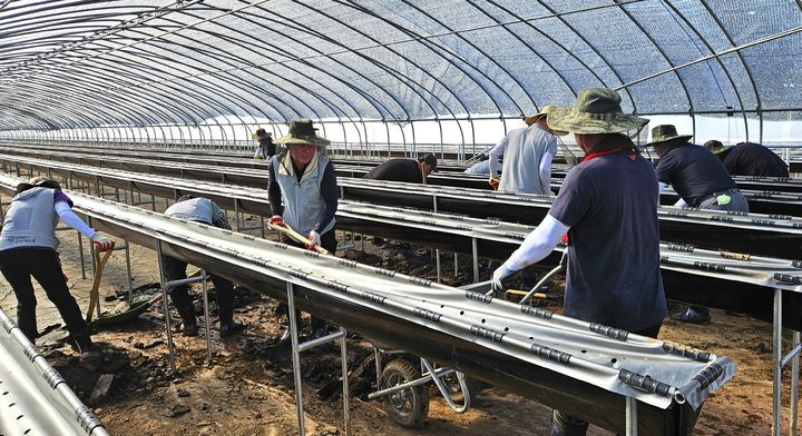 수해복구 지원하는 영동군의회 *재판매 및 DB 금지