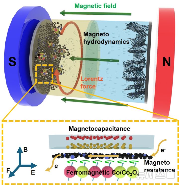 [포항=뉴시스] 송종욱 기자 = 포스텍 김원배 교수팀이 버려지는 식물 열매 껍질에서 얻은 천연 소재로 고성능 수퍼커패시터를 개발했다. 사진은 탄소계 물질과 강자성 소재의 복합화 전극 재료의 반응 메커니즘과 외부 자기장의 수퍼커패시터 셀 구성 모식도. (사진=포스텍 제공) 2025.07.25. photo@newsis.com