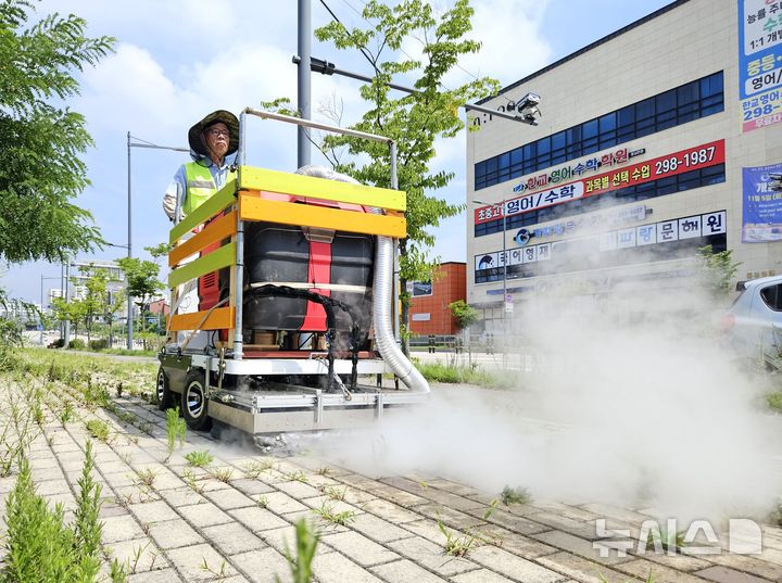 [청주=뉴시스] 안성수 기자 = 장석수(65)씨가 발명품 '주행형 스팀 잡초 살초기'를 이용해 보도에 자란 잡초를 쪄죽이는 모습. 2025.7.25. hugahn@newsis.com