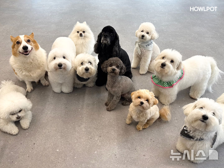 [서울=뉴시스] 하울팟 유치원. (사진= 대교그룹 제공)