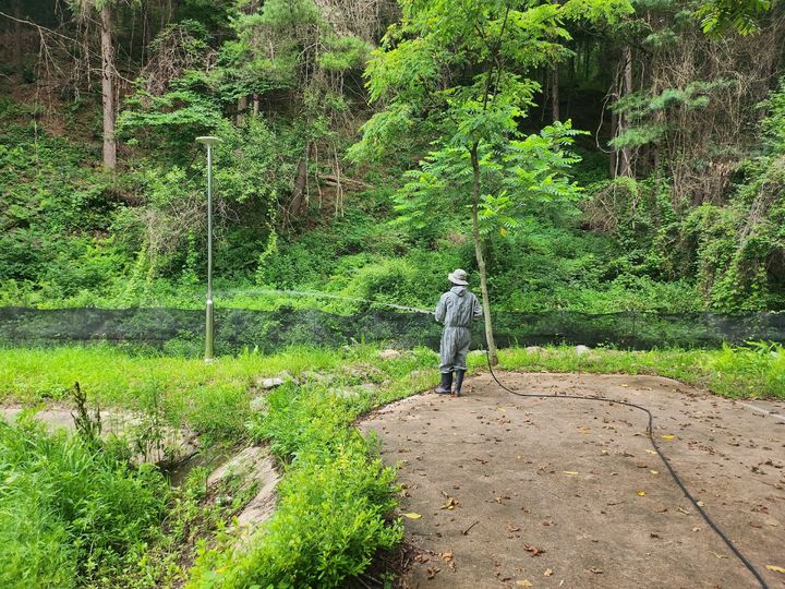 해충방역을 하는 모습.&nbsp; *재판매 및 DB 금지
