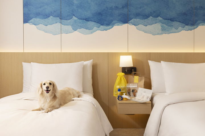 [서울=뉴시스] 카시아 속초 '포펙트 겟어웨이' 패키지.(사진=카시아 속초 제공) *재판매 및 DB 금지