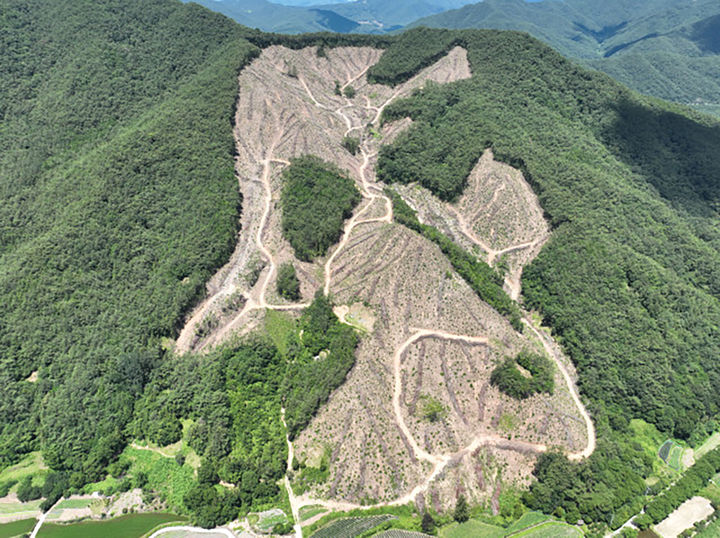 [곡성=뉴시스] 전남 곡성군 친환경 발채 지원금 지급. (사진=곡성군청 제공). photo@newsis.com *재판매 및 DB 금지