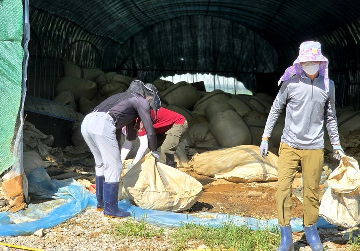 [창원=뉴시스]경남농협, 집중호우 피해지역인 합천군삼가면 축산농가 복구 지원.(사진=경남농협 제공) 2025.07.26.photo@newsis.com *재판매 및 DB 금지