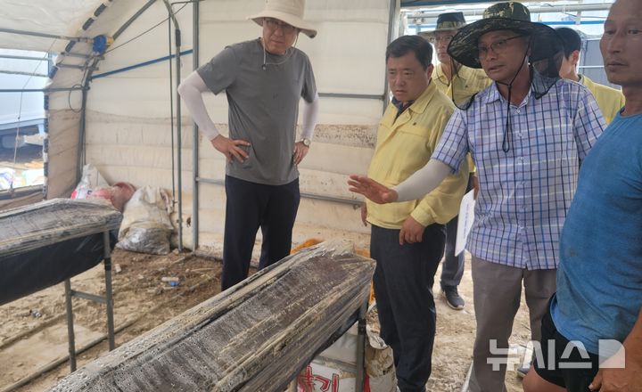 [진주=뉴시스]경남도 박명균(왼쪽서 두 번째) 행정부지사가 26일 최근 집중호우로 피해를 입은 진주시 수곡면 원계마을의 한 딸기육묘 시설하우스를 찾아 피해 및 복구 상황에 대한 설명을 듣고 있다.(사진=경남도 제공) 2025.07.26. photo@newsis.com