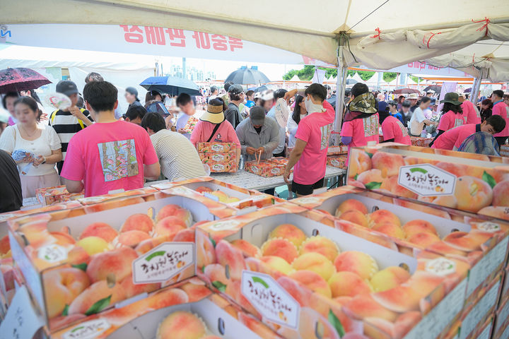 [세종=뉴시스] 2025 조치원 복숭아 축제 복숭아 판매장 모습.(사진=세종시 제공) 2025.07.27 photo@newsis.com *재판매 및 DB 금지