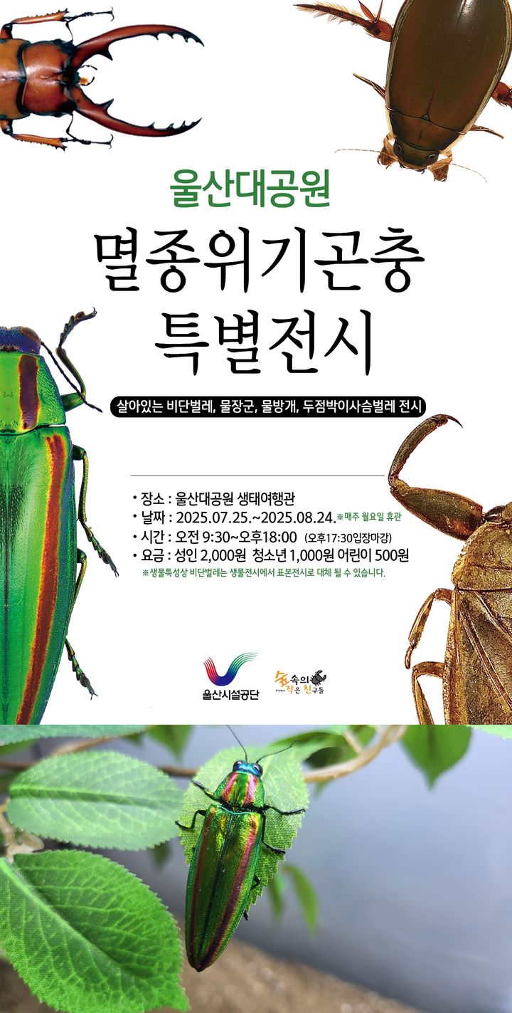 [울산=뉴시스] 전시 포스터와 '비단벌레'. (사진=울산시설공단 제공) 2025.07.27. photo@newsis.com *재판매 및 DB 금지