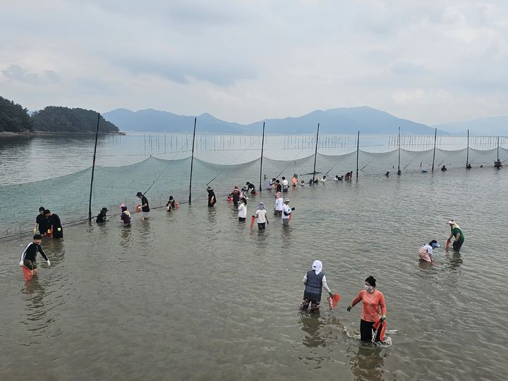 경남 주말어장 체험.(사진=경남도 제공) *재판매 및 DB 금지